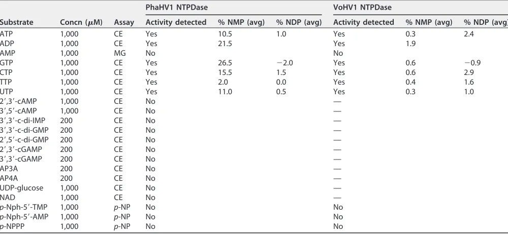 TABLE 2 Substrates used to test PhaHV1 and VoHV1 recombinant proteins for enzymatic activity and percentage of total nucleotideconverted to NMP or NDP products after 2 h of incubation at 37°C, quantiﬁed using CEa