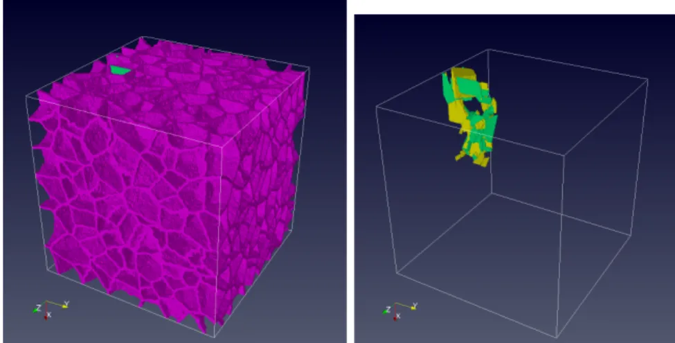 Figure 10: Realisation 1 of CAFE showing grain boundaries (top image) and macro-crack (bottom image)