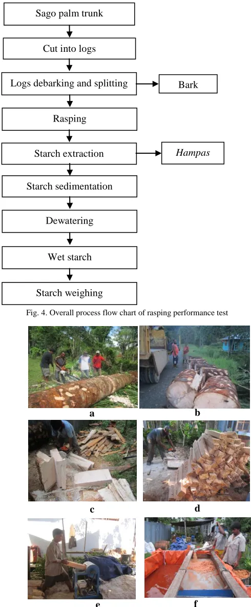Fig. 5. Rasping performance test procedures: (a) Ready harvested  sago trunk was  felled down, (b) The trunk is then cut into logs, splitting the log (d) Pieces of sago log called batten was ready to be rasped, (e) (c)  Debarking and Sago log pieces is bei