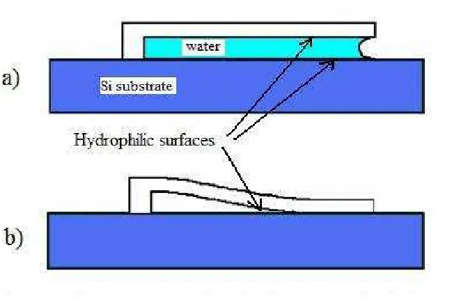 Fig. 2.1 shows an example of release related stiction.  a) shows the device as the water evaporates and b) shows the device irreversibly stuck after evaporation.