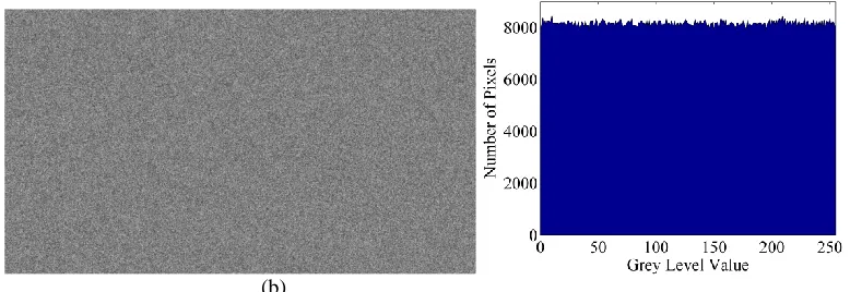 Fig. 2. Visual scene of similarity test between original and extracted images of ASHA with image dimensions 10801920 pixels