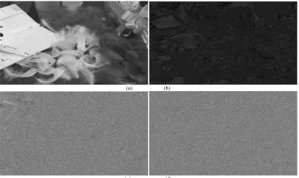 Fig. 4.Visual scene of hiding, MAES, and hybrid algorithms “natural scene 10801920”. a) The original image; b) The stego- image of   Ex-OR hiding method; c) The encrypted image by MAES; d) The protected image by HISA
