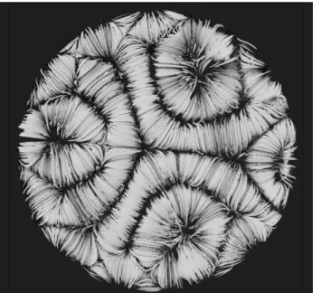 Figure 2. Large scale circulation (LSC) patterns at aspect ratio  Γ =12 for Rayleigh number Ra=107 and Prandtl number  Pr=0.7 
