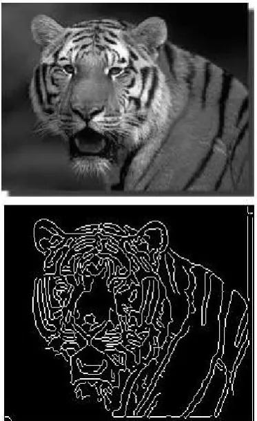Figure 1.6 shows an image that is half black and half white (it could be, for instance, a zoomed detail of an edge region of the binary objects in Figure 1.5(b))