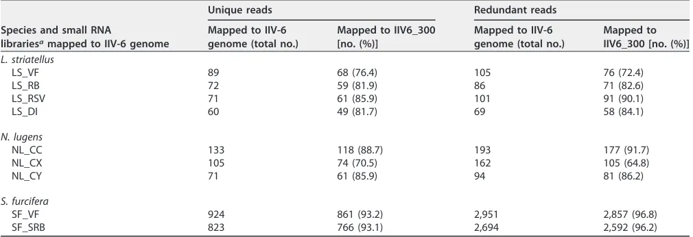 TABLE 4 Numbers of reads of small RNAs of three planthoppers mapped to IIV-6 genome (allowing 1 mismatch)