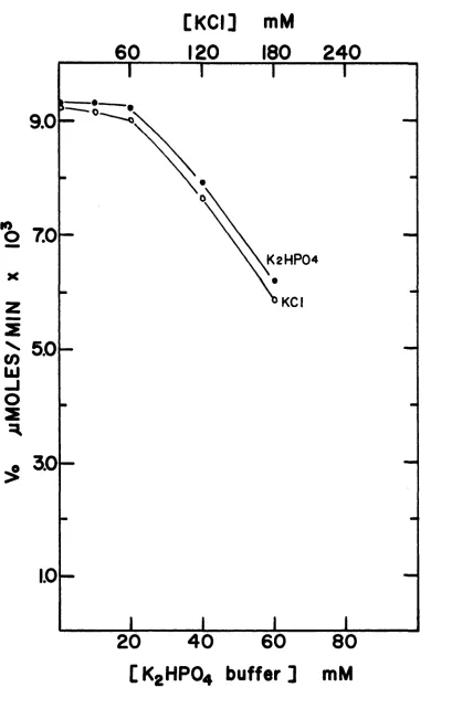 [K C I] FIGURE 15mM