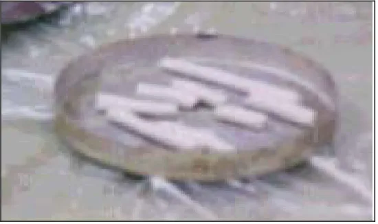 Figure 3.6: Plastic Limit test 