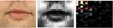 Figure 1: Individual 0, Session 1, video 1, frame 1.From left to right: Pre-processed cropped image, Greyscale resized image, DCT coefﬁcients of the frame withboth square and triangular mask