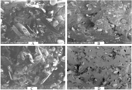 Figure 5: Fracture surfaces of notched coir-PP composites at 30 wt% fiber load. A – CPP