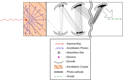 Figure 2.3:Gamma-ray detection through scintillation crystal.