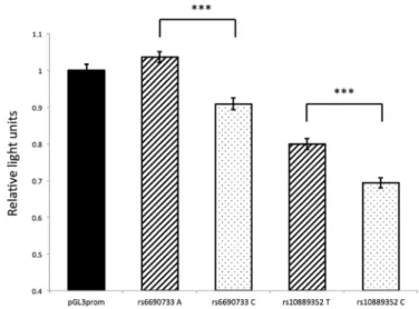 Fig. 3. Representative luciferase reporter assays for the two SNPs showing relative allele-speciﬁc effects on DNA-protein interactions compared to pGL3 promoter vector.