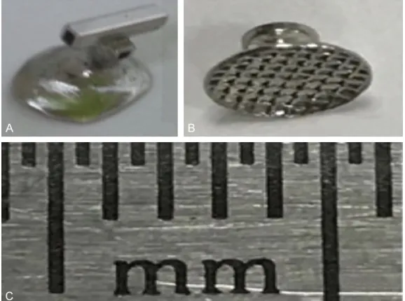 Figure 6. The casted individulal (A) and traditional (B) metal attachment sets for embedded tooth traction and the scale display of this ruler (1 millimeter of each scale) (C).