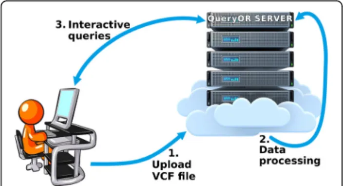 Fig. 1 The three main steps of QueryOR analysis. Step 1 and step 3 require interaction with the user, whereas step 2, data processing, is automatically performed by the system after uploading VCF files