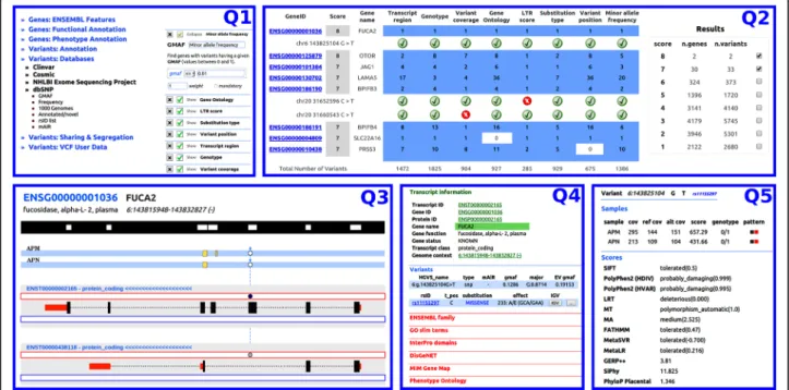 Fig. 2 A typical route for a QueryOR investigation starts with the selection of criteria (Q1); a ranked list of genes and variants is returned in Q2.