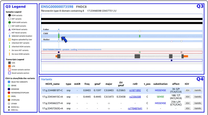 Fig. 3 Trio analysis. In the Q3 section, the arrow points to a variant that is heterozygous in both parents and homozygous in the child (full green bar).