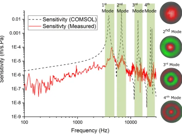 Fig. 8. Electrical output of the complete device and pre-ampliﬁer to a tone-burst sig-speaker coincident with the tone-burst signal and the measured electrical responsenal at 30 kHz (80 dB SPL, ref 20 lPa), with the electro-magnetic interference from thebeing seen after a propagation delay of 0.78 ms.