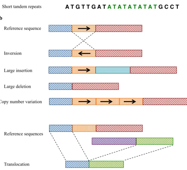 Figure 1. Different types of genetic variations a) Small-scale sequencing variation, b) Large-scale  structural variation