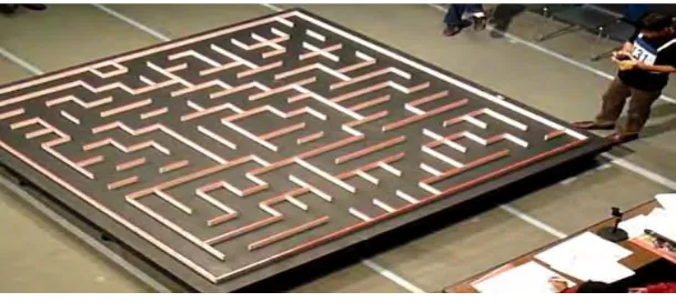 Figure 1.1 International maze track 