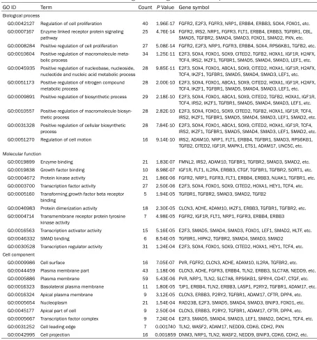 Table 4. Go functional annotation of most significant targets of miR-145-5p