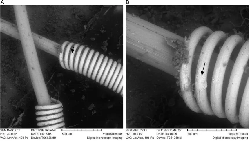 Figure 8. Stress-strain curve of micro-coils with different diameters and materi-als.