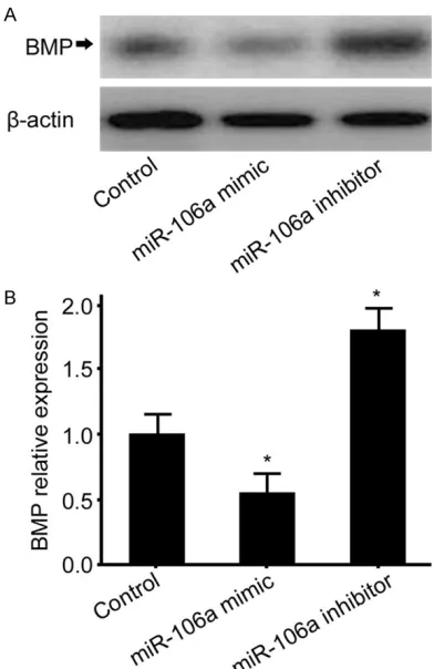 Figure 7, compared to control group, transfec-