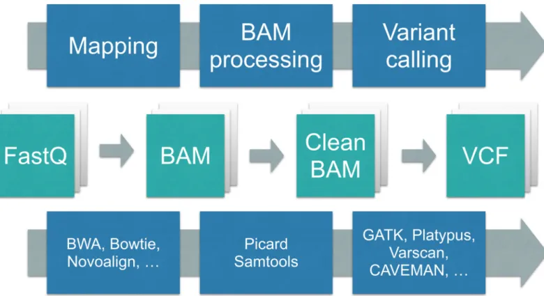 Fig 1. The computational phases of DNA sequencing. First, the reads produced by the wet lab (in FastQ format) are aligned against a reference genome, producing a sequence alignment map file (SAM)