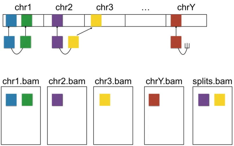 Fig 3. Distribution of read pairs and fragments among split files. elPrep allows splitting SAM files into smaller files which can be processed in parallel, without information loss