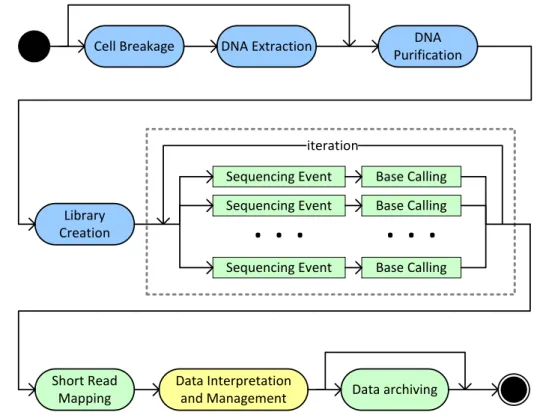Figure 2.1: Generalized pathway of nucleic acid sequencing experiments. Blue activities take place in the wet-lab, green ones on special-purpose hardware (e.g., sequencing machinery, GPUs, Hardware RAIDs).