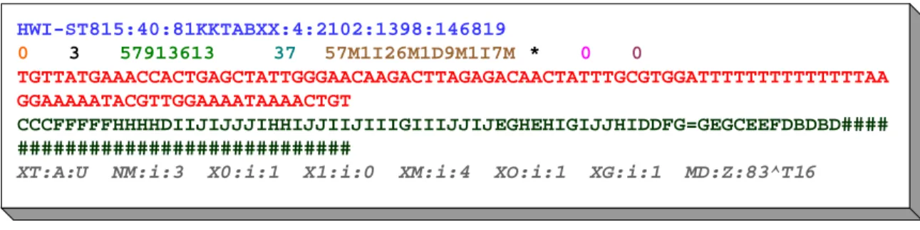 Figure 3.2: A SAM record representing a read that maps to position 57913613 on chromosome 3 of the re- re-spective reference sequence