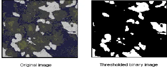 Figure 1.0 Example of color detection 