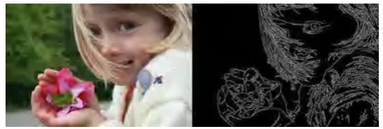 Figure 2.5: Example image of edge detection  