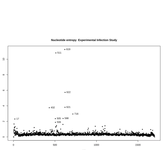 Figure 3.3.: Shannon nucleotide entropy plot for the whole experimental infection study