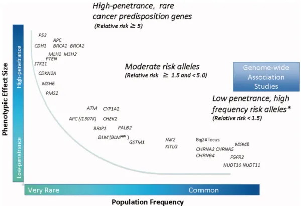 Figure 2.24: Distribution of mutations by population frequency against phenotypic effect size (taken from [154]).