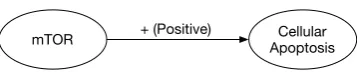 Figure 1: Example of a graph edge encoding therelation extracted from the text: mTOR triggerscellular apoptosis.