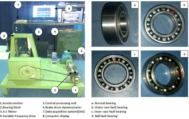 Fig.3.The frequency of the abnormal vibration is called fault frequency which corresponds to the fault location 