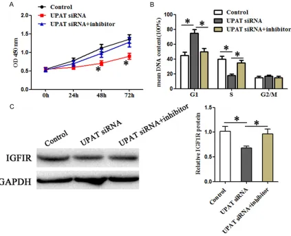 Figure 4. UPAT knockdown and miR-133a overexpression inhibit CRC cell proliferation. A and B