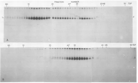 FIG.1.autoradiography.aspostinfection)with150 Separation of T-antigen subclasses by zone velocity sedimentation
