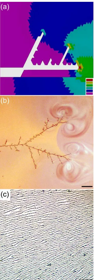 Figure 1.4.  Dielectrophoretic-driven assembly of conductive microwires from gold nanoparticles.14,17 (a) Electrostatic simulation of a growing microwire in the bulk assembly mode