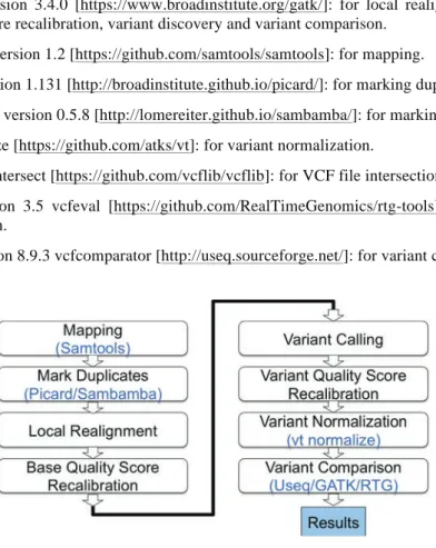 Figure 1: Workflow 