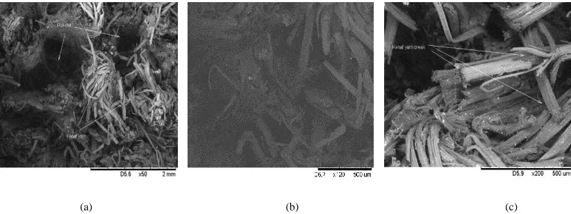 Fig. 5.  (a) SEM micrographic image showing pullouts (b) SEM micrograph showing kenaf yarn that is separated from polyester (c) SEM micrograph showing breaks and cuts that expose the primary and secondary wall of the fibre 