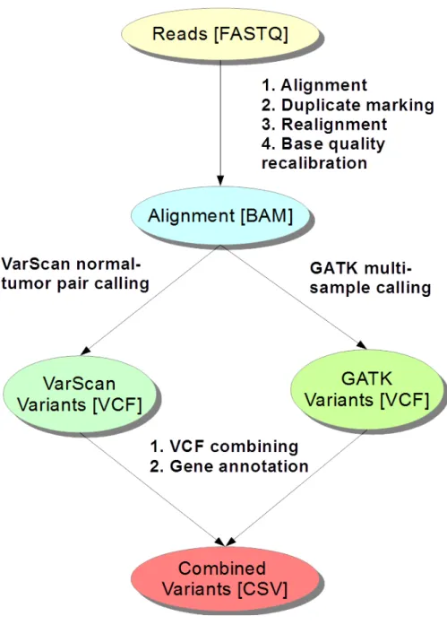 Figure 3: The general workow of the CML analysis. The raw FASTQ (FASTA with Qualities) reads were aligned using the Align component