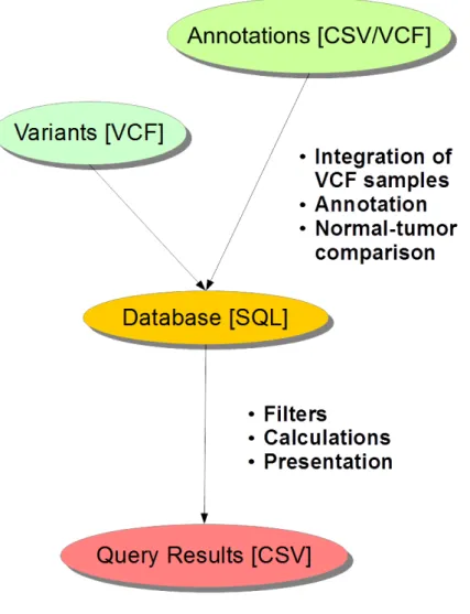 Figure 4: The principle of the prototypic database we created for sequencing variant analysis