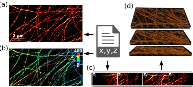 Figure 2. Image visualization and rendering with Fiji using different options. (a) A localization file is imported into Fiji using the macro LocFileVisualizer and a 2D image generated