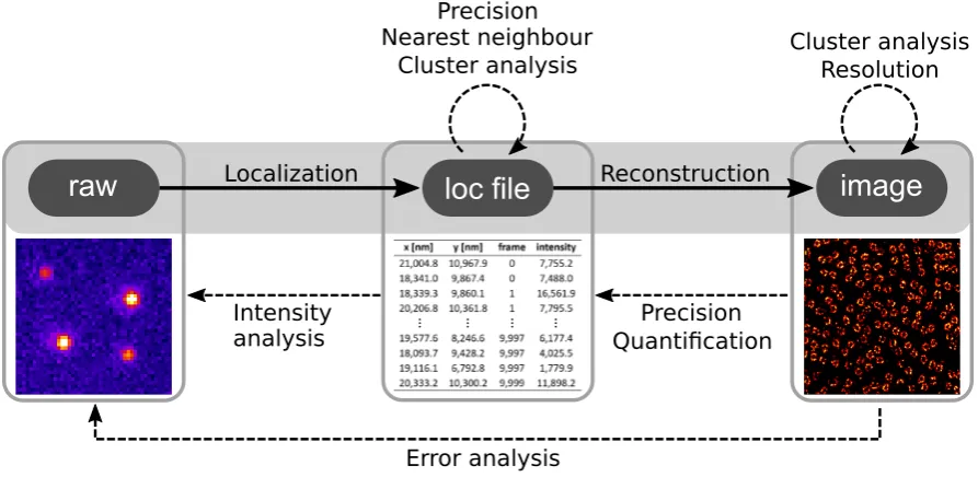 Figure 3. Image processing options on SMLM data. Standard operations of localization software is highlighted in grey, i.e