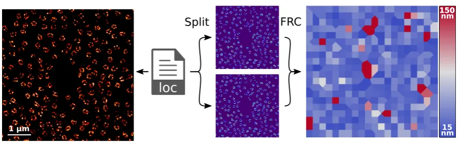 Figure 4. SMLM resolution estimation with Fiji. Left: A dSTORM image on the nuclear core complex is reconstructed from a localization file
