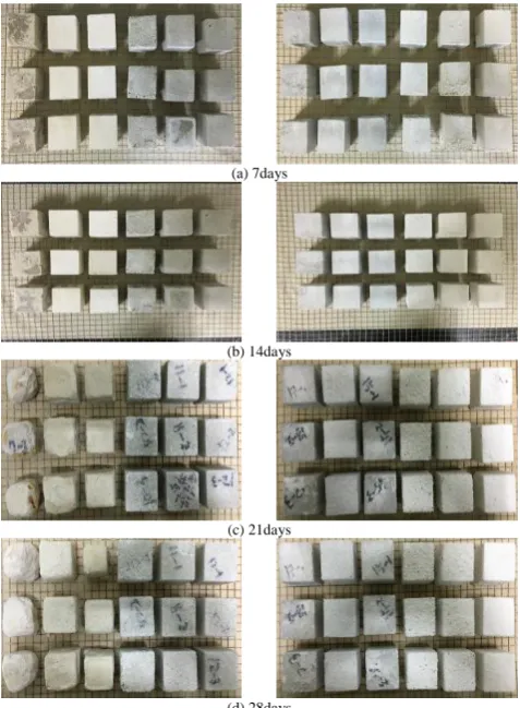 Fig. 10. Result of test on chemical resistance of mortar type specimens. 