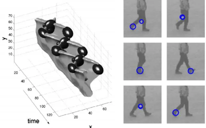 Figure 2.3.2: Detection of spatio-temporal interest points from the movements of the legswhile performing walking action [3].