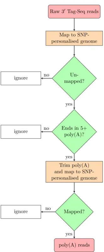 Figure 2.6.: Flow chart illustrating the processing of raw 3 ′ Tag-Seq reads for a single sample to the mapped poly(A) reads.