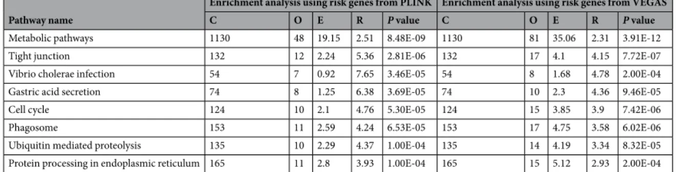 Table 1.  8 shared significant KEGG pathways with P &lt; 2.27E-04 using genes from PLINK and VEGAS