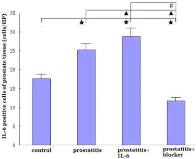 Figure 1. Comparison of numbers of IL-6 positive cells in prostate tissues of four groups of rats